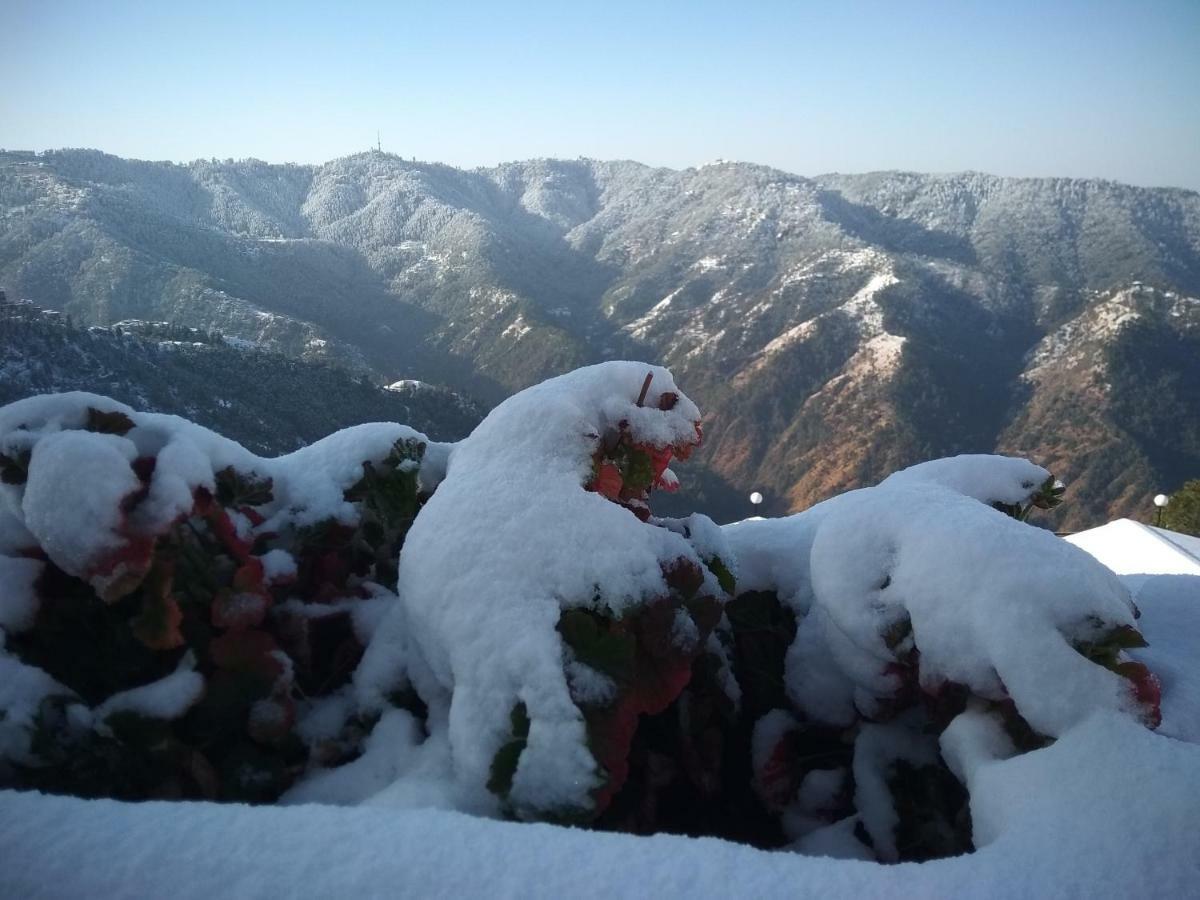 Spangle Heights Shimla, Suites And Residences ภายนอก รูปภาพ